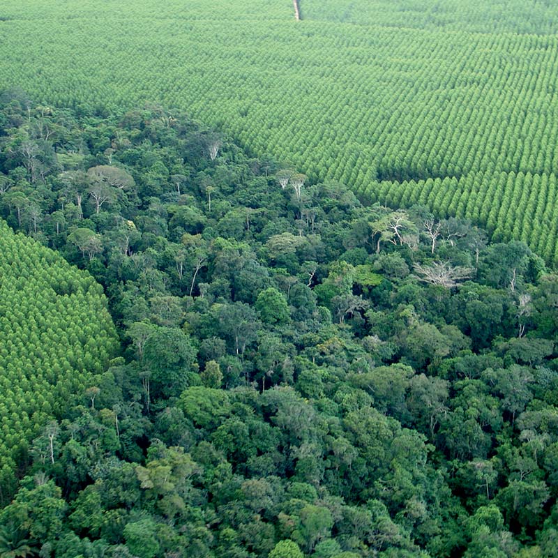 capa-servico-ambiente